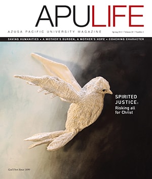 APULIFE front cover of sculpted dove