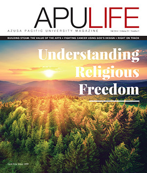 APULIFE front cover of a scenic sunrise over a forest
