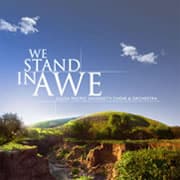 We Stand in Awe album cover