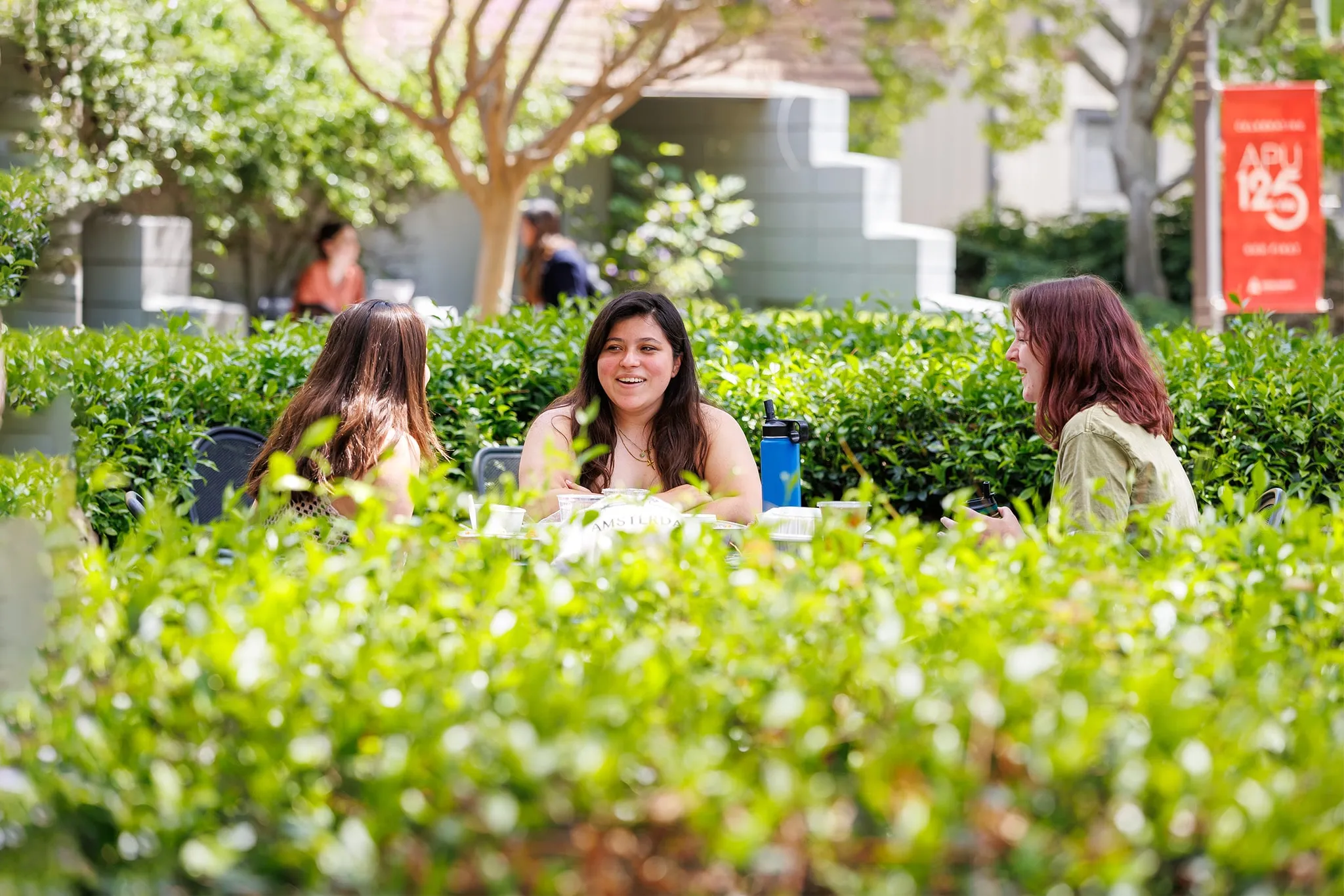 students hanging out on east campus next to a green bush