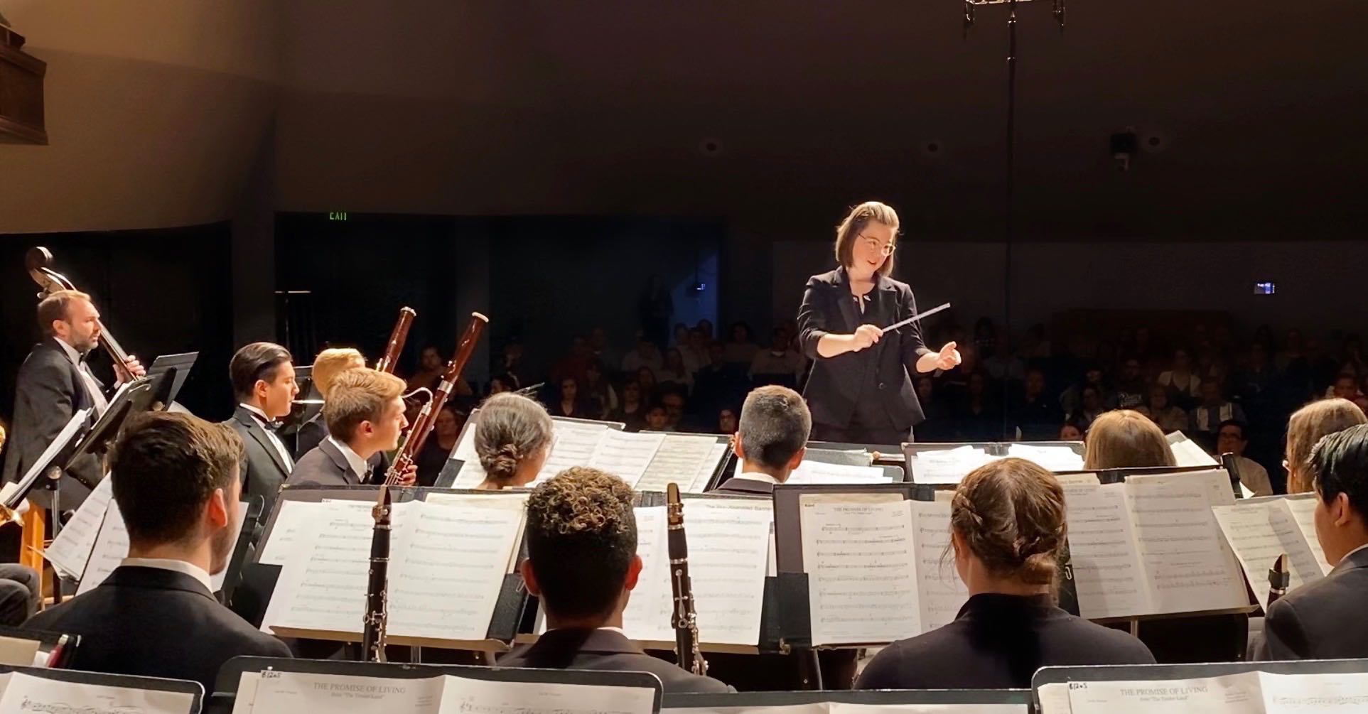 Conductor and her orchestra