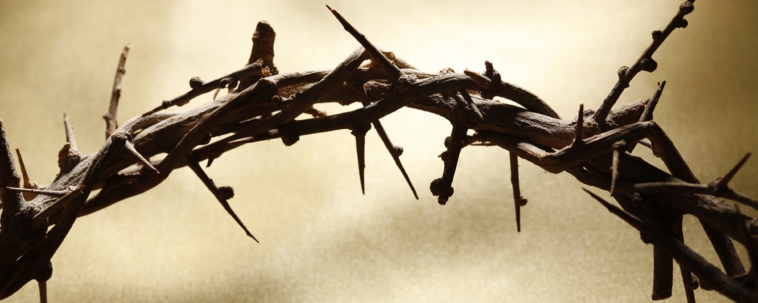 The Science of the Crucifixion